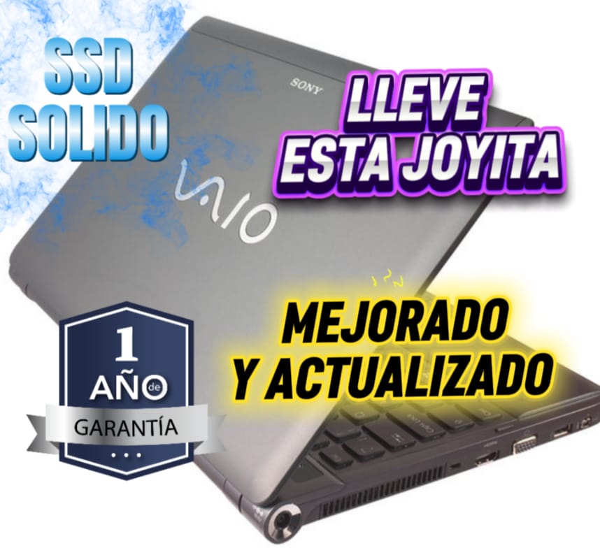 Sony VAIO PCG-31311U Netbook, Notebook